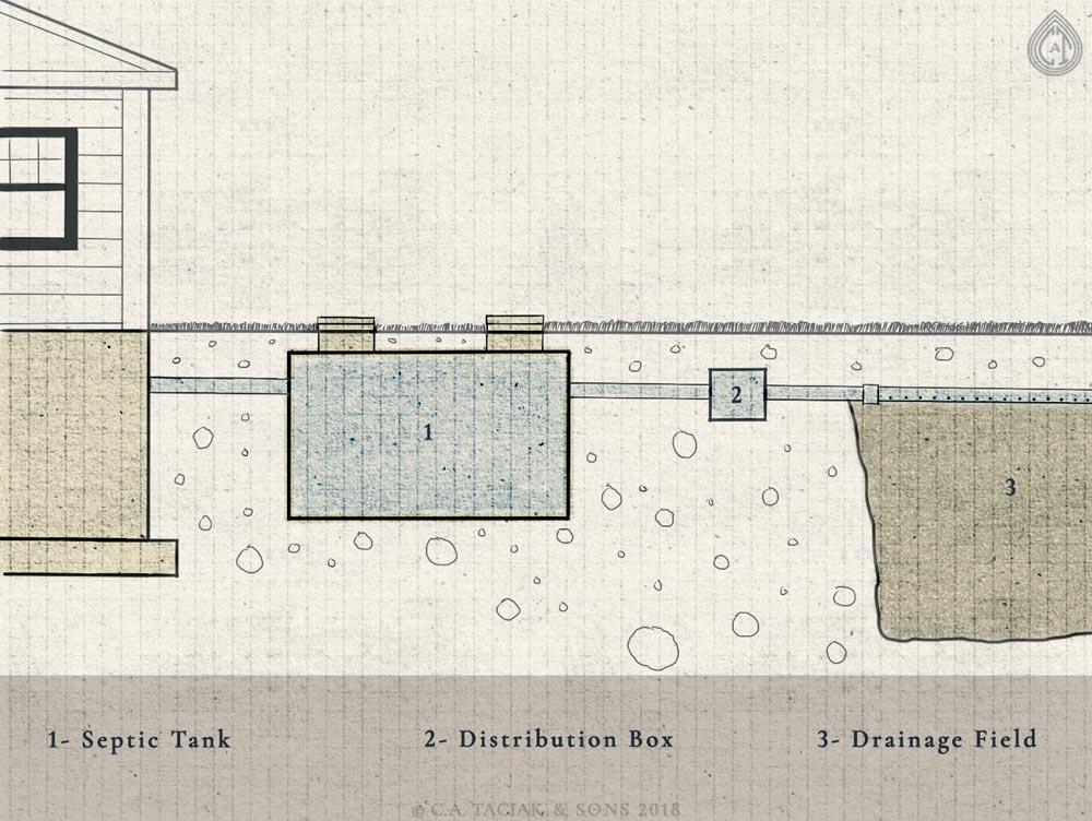A cross section illustration of a septic tank, distribution box, and drain field
