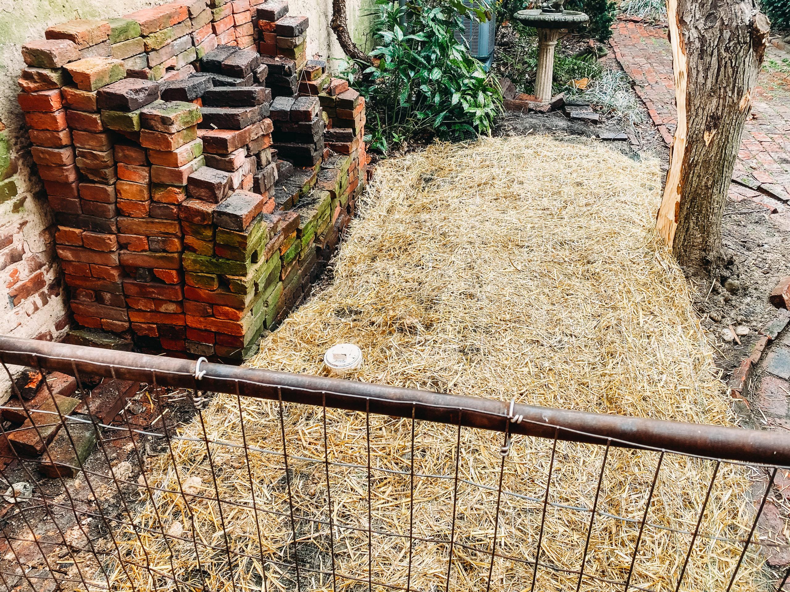 Sewer Repairs in the Rear Yard of Baltimore Row Homes | C.A. Taciak & Sons